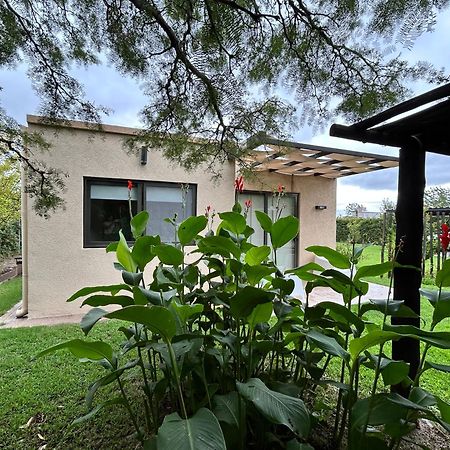 Loft Los Cerezos En Vistalba, Zona De Vinedos Y Bodegas Lujan de Cuyo Buitenkant foto