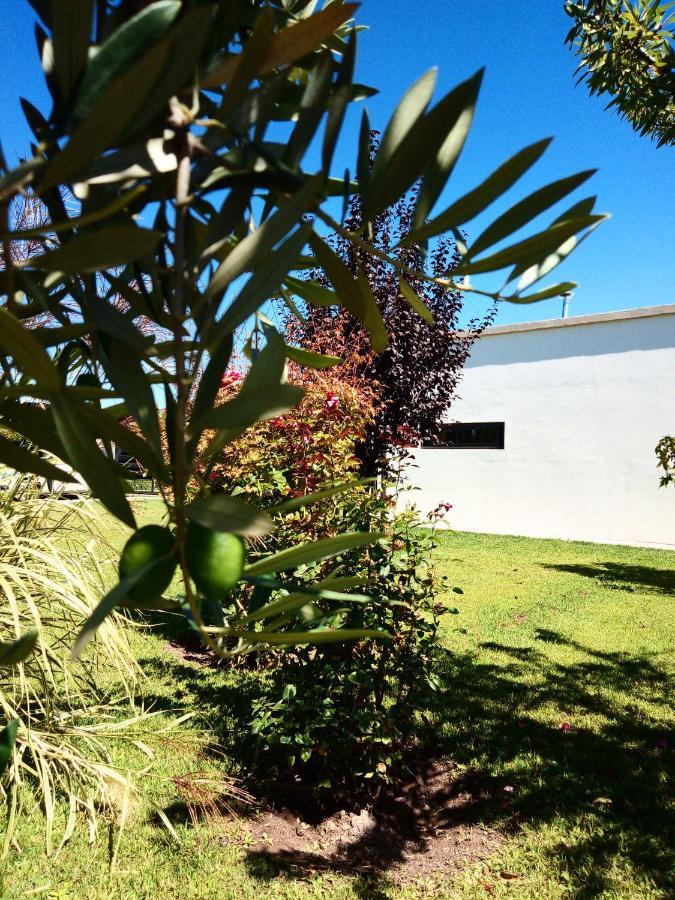 Loft Los Cerezos En Vistalba, Zona De Vinedos Y Bodegas Lujan de Cuyo Buitenkant foto